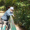 Brodnicki Park Krajobrazowy #BrodnickiParkKrajobrazowy #las #rower
