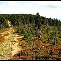 Karkonosze