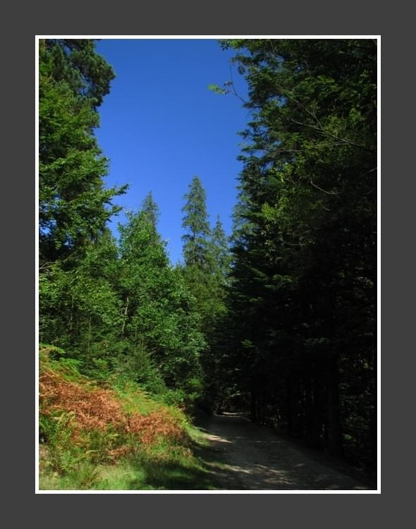 II Zlot BESKIDoczubów => http://beskidtrek.pl/2008/10/03/ii-zlot-beskidoczubow-na-rogaczu