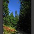II Zlot BESKIDoczubów => http://beskidtrek.pl/2008/10/03/ii-zlot-beskidoczubow-na-rogaczu