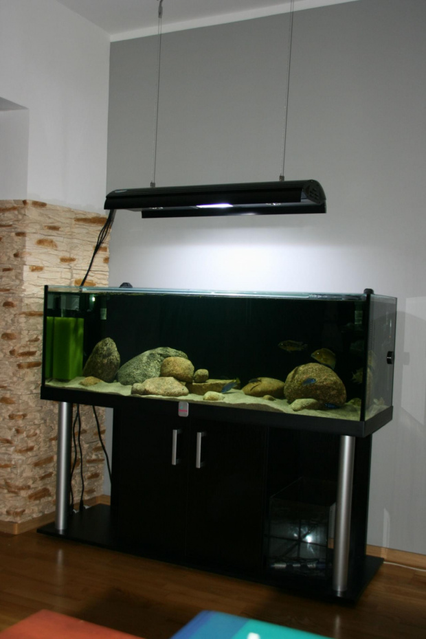 HQI