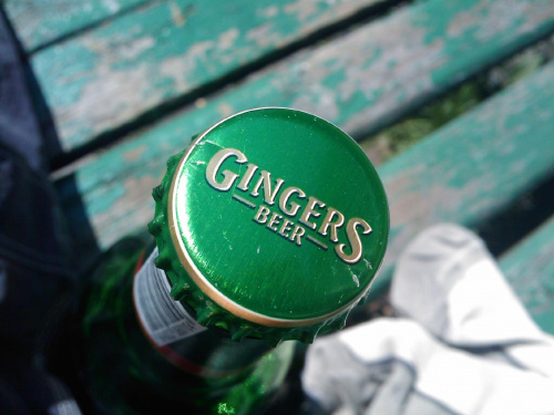 GINGERS ! #piwo #gingers #butelka #makro