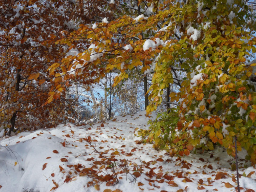 Jesień to czy zima ? :) #góry #jesień #listopad #śnieg