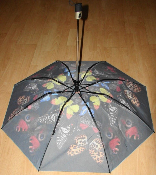 zest foto series parasol