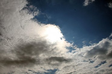 #Bralin #lato #łąki #kwiaty #zboże #owady