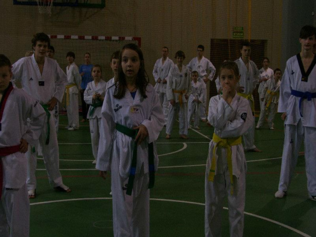 seminarium z MIstrzem Kang Cheol In 7 dan #taekwondo #tkd #walka #zawody