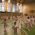 seminarium z MIstrzem Kang Cheol In 7 dan #taekwondo #tkd #walka #zawody