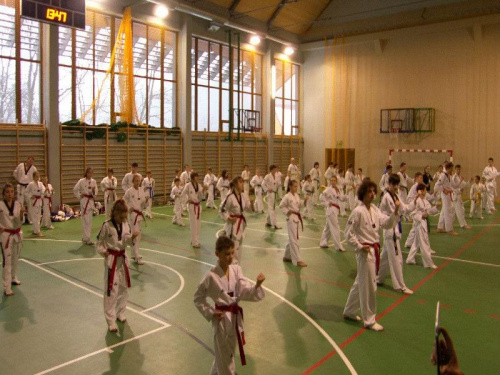 seminarium z MIstrzem Kang Cheol In 7 dan #taekwondo #tkd #walka #zawody