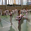 seminarium z MIstrzem Kang Cheol In 7 dan #taekwondo #tkd #walka #zawody