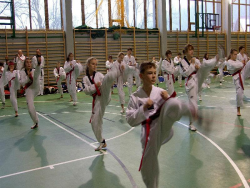 seminarium z MIstrzem Kang Cheol In 7 dan #taekwondo #tkd #walka #zawody