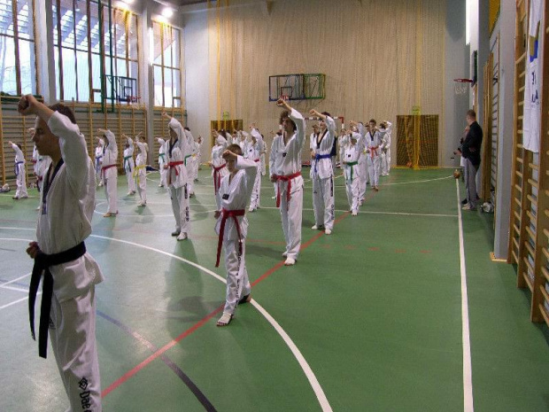 seminarium z MIstrzem Kang Cheol In 7 dan #taekwondo #tkd #walka #zawody