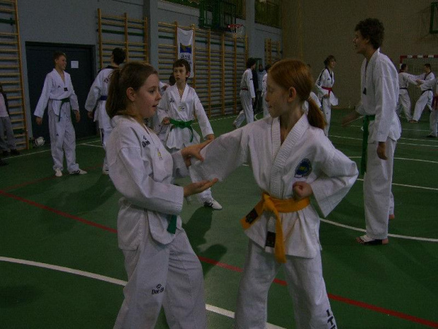 seminarium z MIstrzem Kang Cheol In 7 dan #taekwondo #tkd #walka #zawody