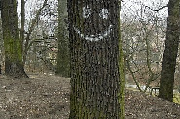 Uśmiechnij się (Bydgoszcz) #drzewa #przyroda #uśmiech