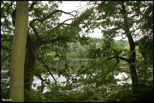 c.d. poznańskiego zoo