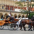 Kraków