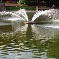 Fontanna w parku Morskie Oko #warszawa #park #fontanna #widok #krajobraz