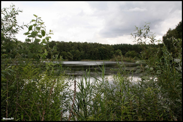 c.d. poznańskiego zoo