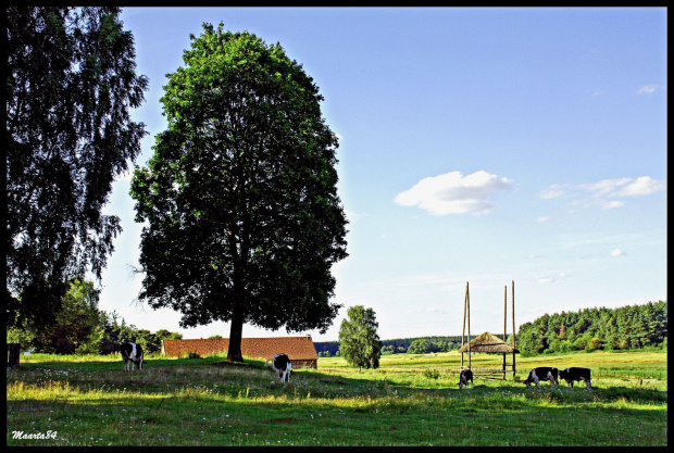 Skansen w Olsztynku