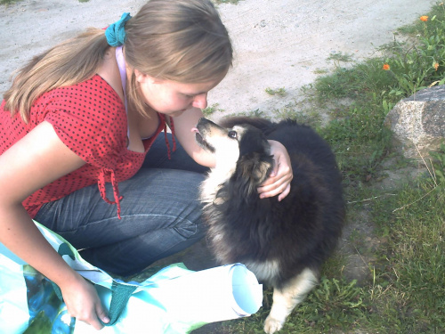 Buziak z Tiarą :) #buziak #pies #miłość