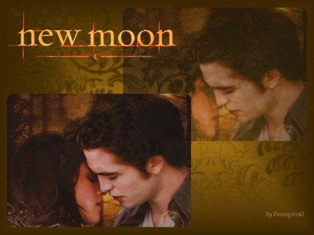 Twilight, New Moon #Twilight #NewMoon