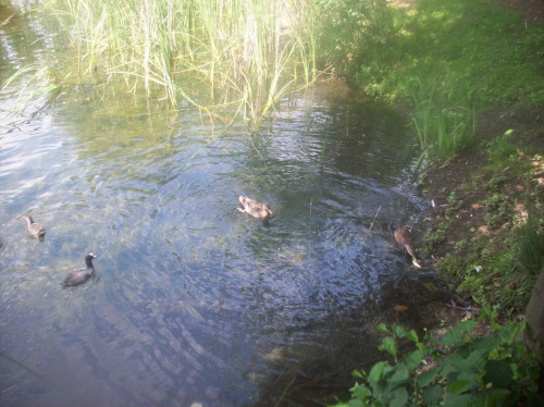 Jedyne przyjemne miejsce w mojej okolicy:))