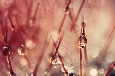 inny świat #krople #lód #macro #odbicia #woda