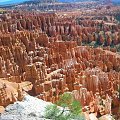 Skaly sobie wyrosly. Bryce Canyon National Park.