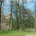 #Drzewica #zamek #ruiny