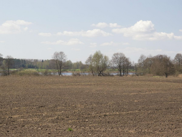 Dookoła Jezioraka 1 Maja 2013 #Iława #Jeziorak #jezioro #las #rower