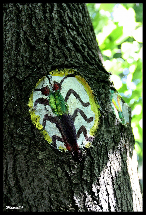 Malowidła na drzewach w Parku Praskim w Warszawie
