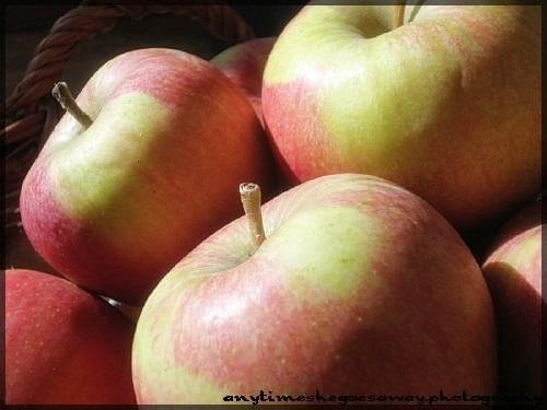 Jabuszka ;) #anytimeshegoesaway #jabłko #jabłka #natura #owoce