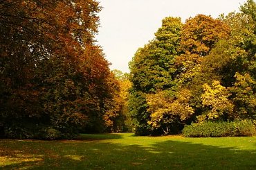 #jesień #spacery #kolorystyka #liście #park