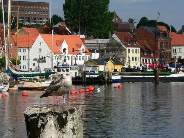 Flensburg #Flensburg #Niemcy