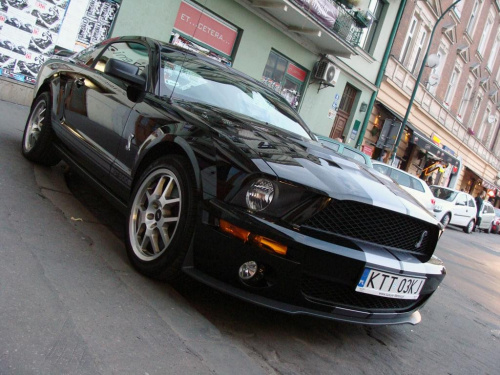 #Shelby