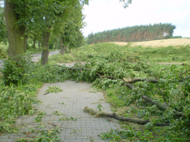 Między Strzelcami Wielkimi a Piaskami