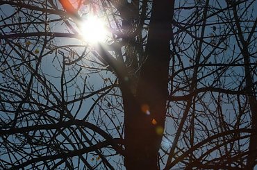 JESIEN .....cd. #JANET