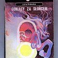 goniąc za słońcem.jpg
