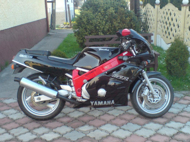 FZR 600