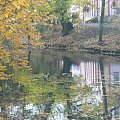 Jeden ze stawów #Jesień