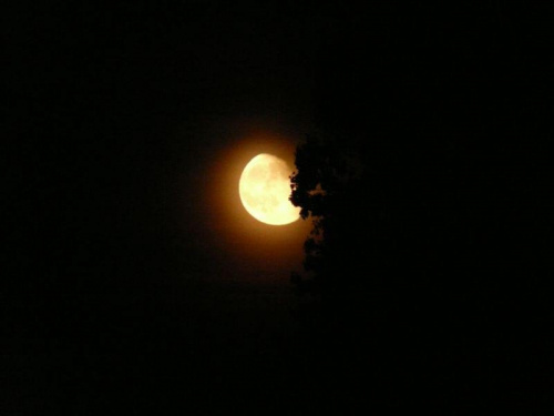 #księżyc #noc