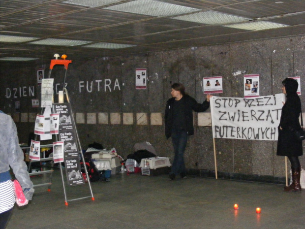 dzień bez futra_Wrocław #DzieńBezFutra #Wrocław #fretki #SPF #fretkorum #protest