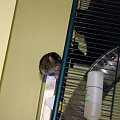 16.11.2009