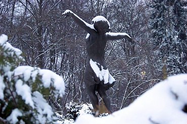 Zimowa tancerka #ParkSkaryszewski #Warszawa #zima #śnieg