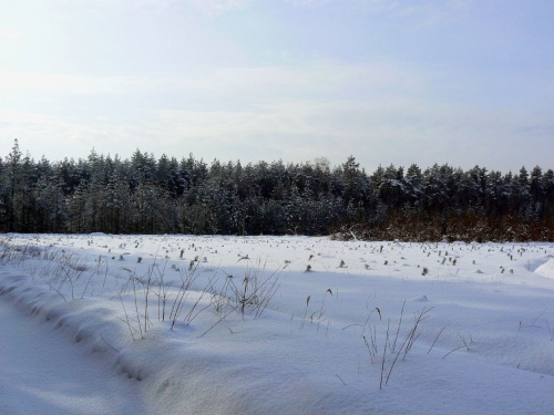 zima2010 #KrajobrazyZimowe #zimowo