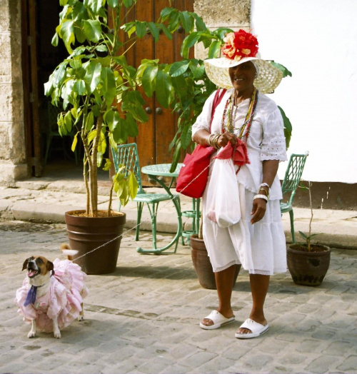Kubanka z piedkiem #kobieta #Kuba #Havana #psy #pies