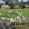 Parszkowo