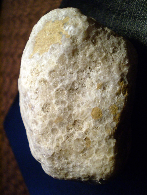 Koralowiec Favosites sp. Długość okazu - 5,4 cm . Wiek : ordowik - dewon . Data znalezienia : 2006 .