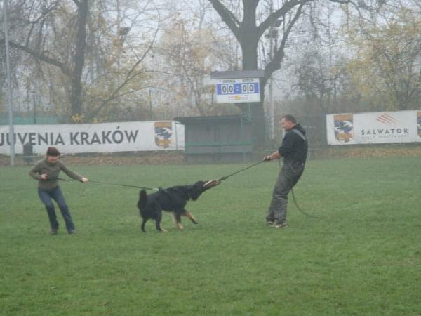 obrona Jaśko