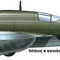 PZL-38 Wilk