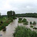 Wisłoka Krajowice - majowa powódź 2o1o